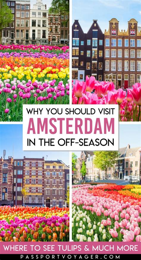 amsterdam country|Where is Amsterdam and why you should visit it.